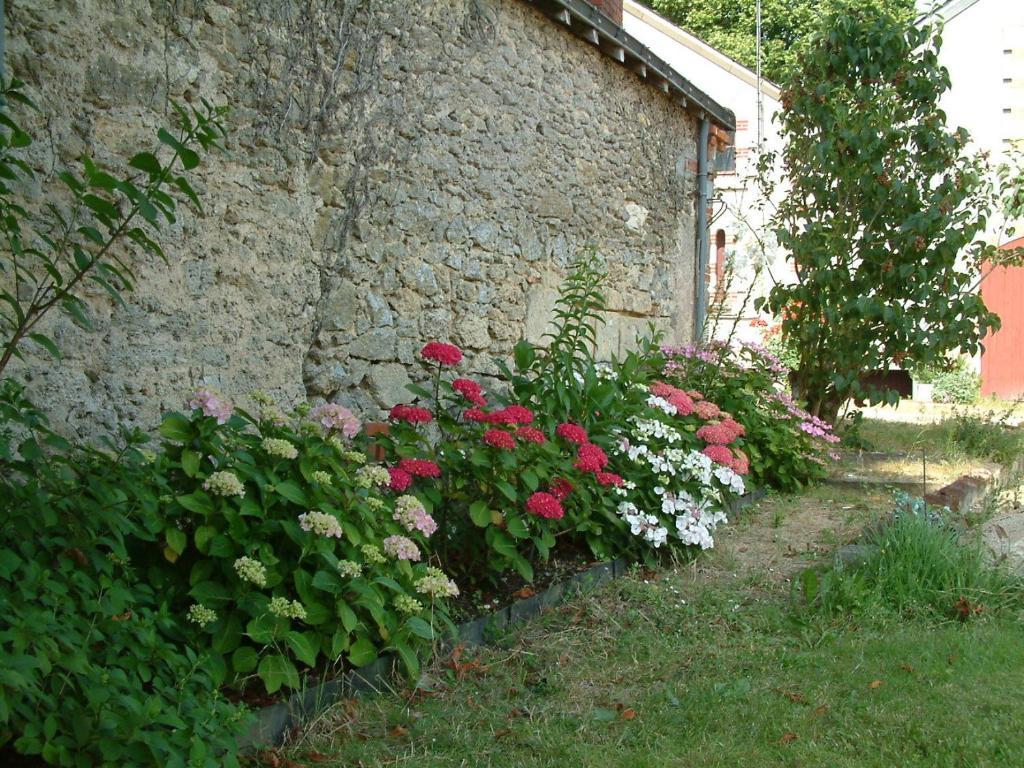 Chateau Du Beugnon Bed & Breakfast Tigné Exterior foto